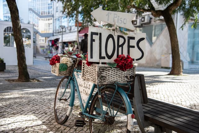 Flores na Bicicleta Azul